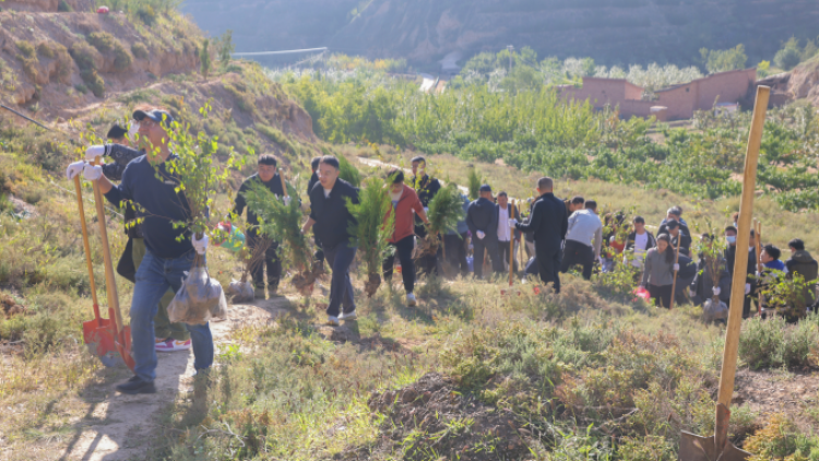 履行省属企业责任 厚植南北两山绿色&mdash;&mdash;甘肃文旅集团开展秋季义务植树活动